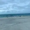 Ella Davis - @elladavis32 - TikTok