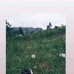 Elsa Delacruz - Facebook