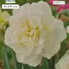 Elsa De Leon - @elsa.de.leon8 - TikTok