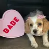 Elsadeleon - @elsa_deleon - TikTok