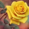 elsa - @delgadoelsa52 - TikTok