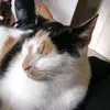 Elsa Storzum - @elsadennis_love18021008 - TikTok