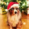 Denny_Elsa - @denny_elsa - TikTok
