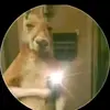 Elisa Diamond - @elisa.diamond8 - TikTok