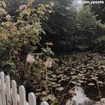 elsa - @elsadixon69 - Instagram