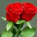 Elsa Dominguez - Facebook