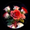 elsadominguez878 - @coraliaelsa.domin - TikTok