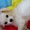 ELSA DE GUIA - @elsadeguia - TikTok