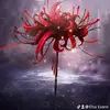 庭羽 - @elsaevans6 - TikTok