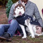 Elsa Allie Freeman - @elsathehusky18 - Instagram
