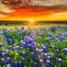 Elsie Freeman - Facebook