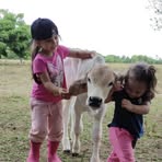 Elsa Gasca - Facebook