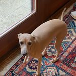 Elsa Hamilton - @hi_its_elsa.frog - Instagram
