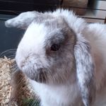 Elsahamilton - @elsa10976 - Instagram