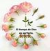 Elsa Hurtado - Facebook