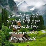 Elsa F Jara - @elsa_figueres - Instagram