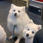 Jara & Elsa - @elsa.and.jara_theclouds - Instagram