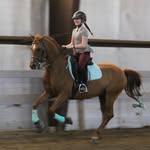 Elsa Jensen - @elsa_equestrian_517 - Instagram