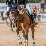 Elsa Jensen - @elsa.j_showjumping - Instagram