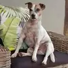 Elsa Joubert - @elsa.joubert8 - TikTok