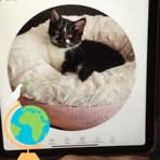 Elsa Joy - Facebook