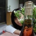 劉薏涵 - @yihan_elsaliu - Instagram