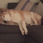 Elsa - @elsa.lowenthal - Instagram
