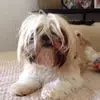 Elsa Lu - @elsalu2011 - TikTok