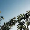 Elsaa - @elsalundin_ - TikTok