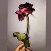 Elsa Marin - @elsa.marin53 - TikTok
