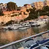 elsamasones - @elsa.masones - TikTok