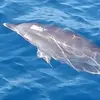 elsa.michel07524 - @elsa.michel07524 - TikTok