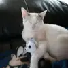 elsamichel - @elsa.michel07 - TikTok