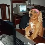 Elsa Molina de Paredes - @elsamolinadeparedes - Instagram