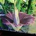 Elsa Maritz - Facebook