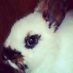 Emma Egbers - @moritz_blacky_elsa_bowbow - Instagram