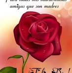 Elsa Najera - Facebook