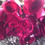 elsa_osorio-61 - @elsaosorio61 - Instagram