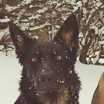 elsa peters - @elsapeters222 - Instagram