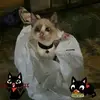 Elsa Pool Rivas - @soledad.sola - TikTok