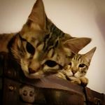 potter&elsa - @potterelsa19 - Instagram