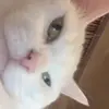 ElsaPowellY - @elsapowelly - TikTok