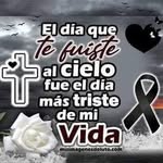 Elsa Puentes - @elsa_puentes71 - Instagram