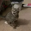 Elisa Purdy - @elisa.purdy7 - TikTok