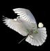 Elsa Quesada - Facebook