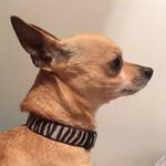 Elsa Quesada - @elsa_qbg - Instagram