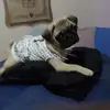 Elsa Quintero - @elsa.quintero46 - TikTok