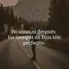 Elsa Quintero - @elsaquintero20 - TikTok