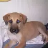Elsa Quiroga - @elsa.quiroga2 - TikTok