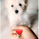 Elsa Quito - @mariia.quito.9 - Instagram